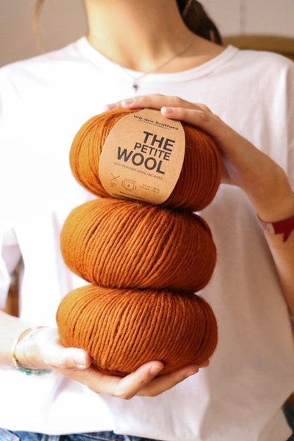 Pack de 10 Pelotes de Petite Wool