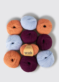 Pack de 10 Pelotes de Baby Alpaca 