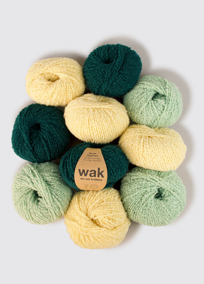 Pack de 10 Pelotes de Boucle Cloud Yarn