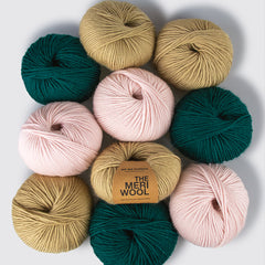 Pack de 10 Pelotes de Meriwool