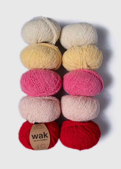 Pack de 10 Pelotes de Boucle Cloud Yarn
