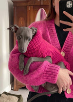 Scooby Sweater Kit pour animaux – Version Yummy