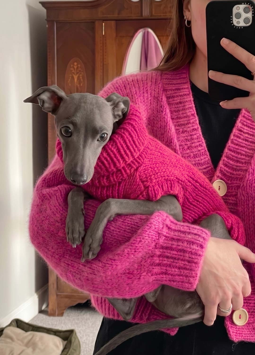 Scooby Sweater Kit pour animaux – Version Yummy