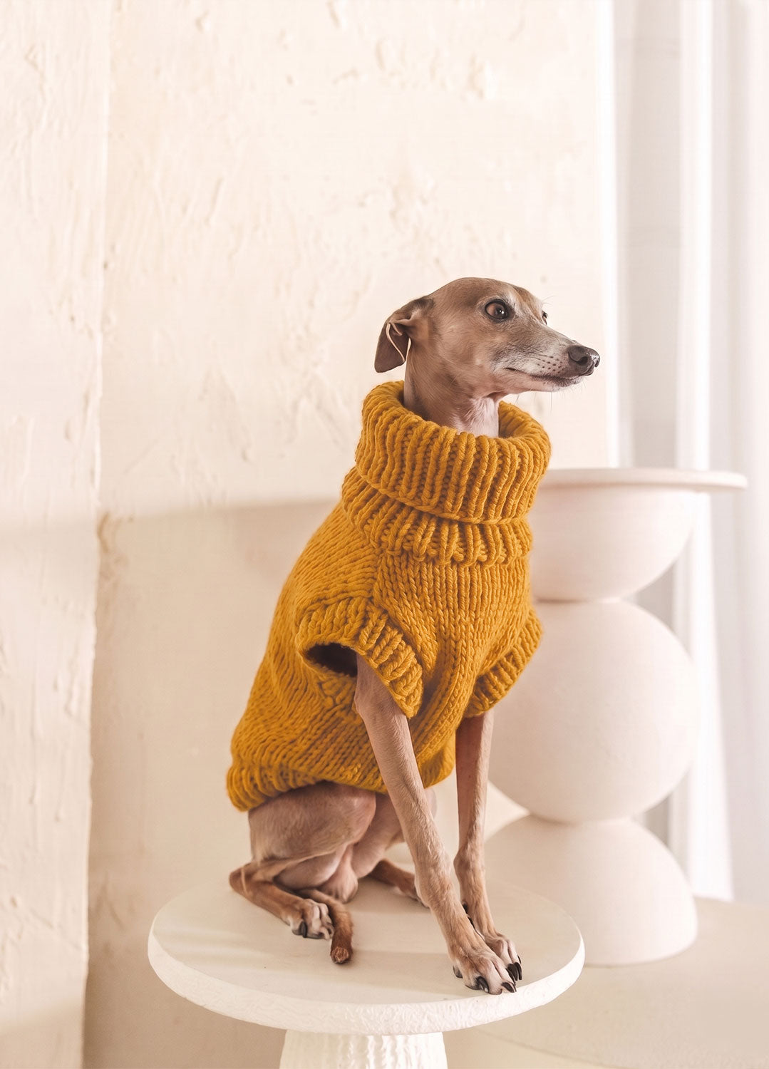Scooby Sweater Kit pour animaux – Version Yummy