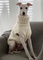 Scooby Sweater Kit pour animaux – Version Yummy